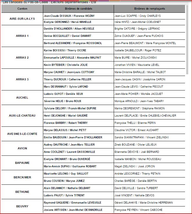 ELECTIONS CANTONALES- ( DEPARTEMENTALES) Captur15