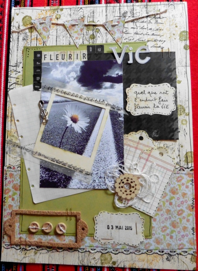 35 CONSIGNES POUR UNE PAGE P1020110