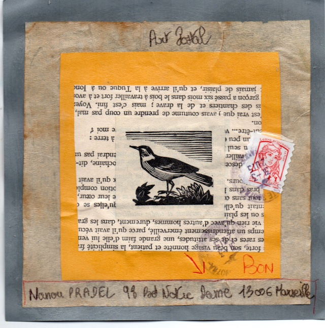 Galerie : Les petits oiseaux - Page 7 Img47910
