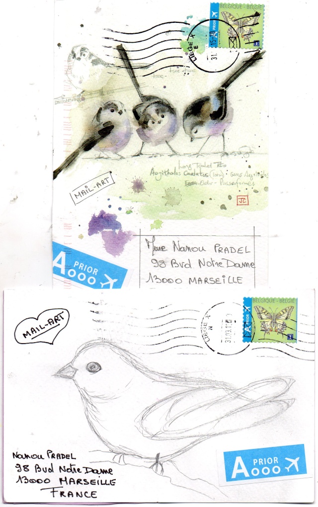 Galerie : Les petits oiseaux - Page 7 Img48510