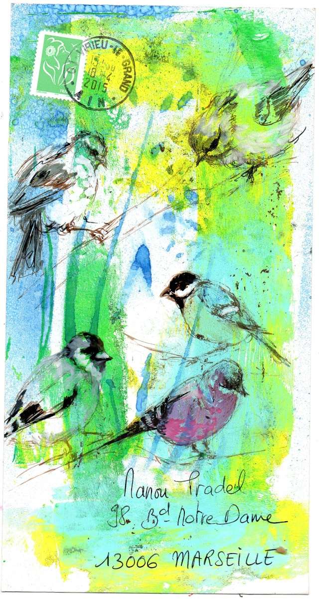 Galerie : Les petits oiseaux - Page 7 Img51510