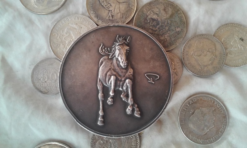 Hallazgo de un Medallon de plata 350gr -FOTOS 20150511