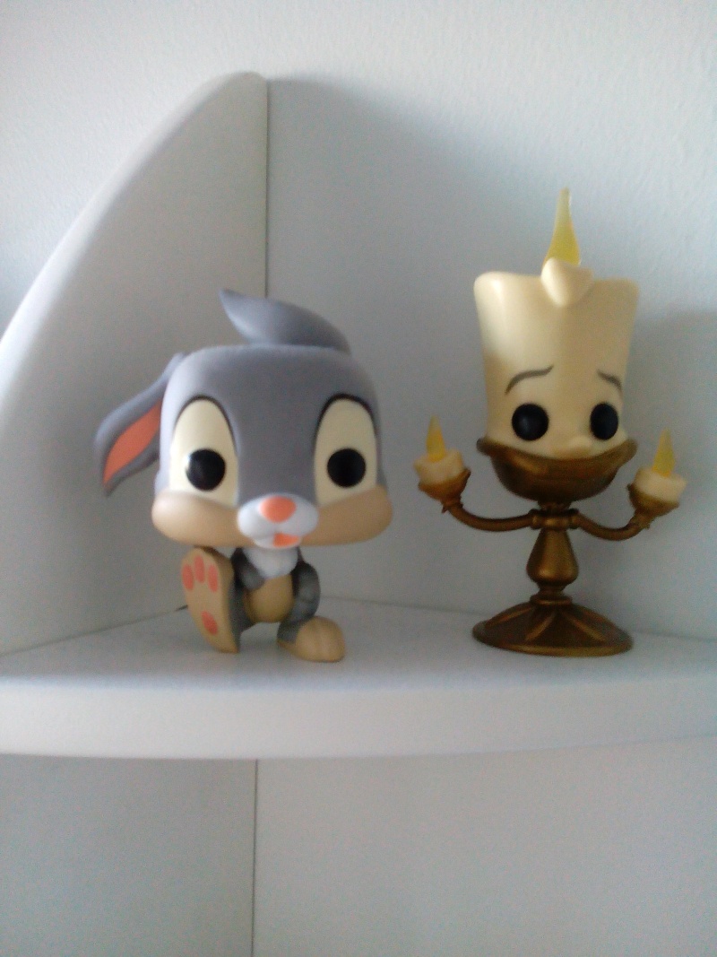 Les funko - Page 30 Img_2011