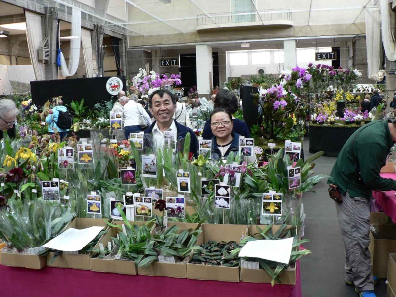 17th European Orchid Show (EOC) and Conference London / Londres 2015 (9 au 12 avril) - Page 2 P1170213