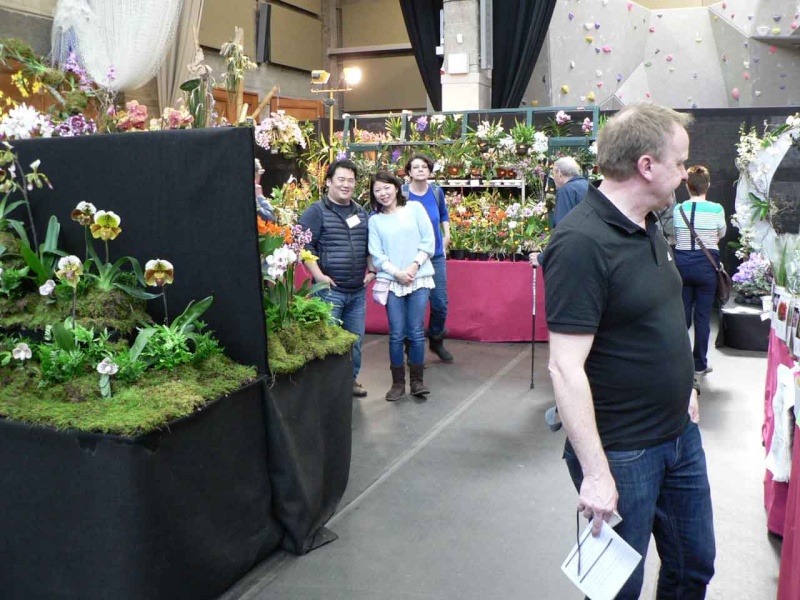 17th European Orchid Show (EOC) and Conference London / Londres 2015 (9 au 12 avril) - Page 3 P1170320