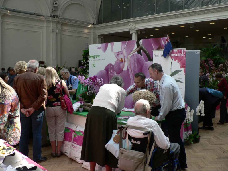 17th European Orchid Show (EOC) and Conference London / Londres 2015 (9 au 12 avril) - Page 4 P1170366