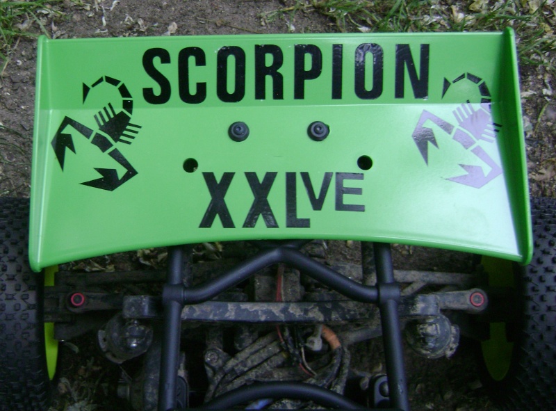 Nos Kyosho Scorpion xxl ve pas comme les autres - Page 17 Photo974
