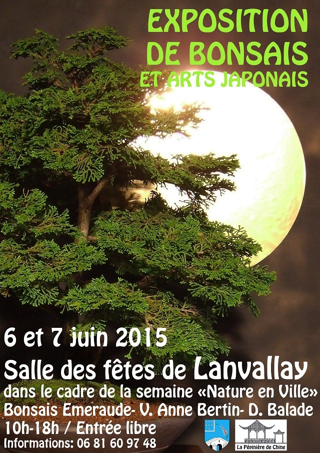 le club émeraude bonsaï expose le 6 et 7 juin Base_a11