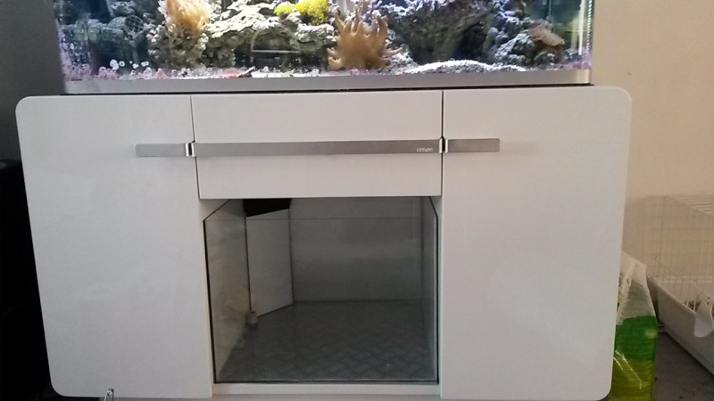 Aquarium de Samix  - Page 10 20150311