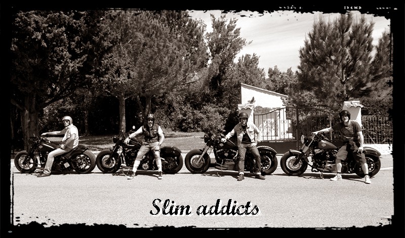 SOFTAIL SLIM... les accros de la Slim attitude !! - Page 17 Grimau10