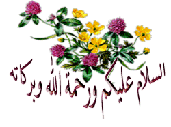 Umm Abdûrahman - le livre de la zakat 125-3133