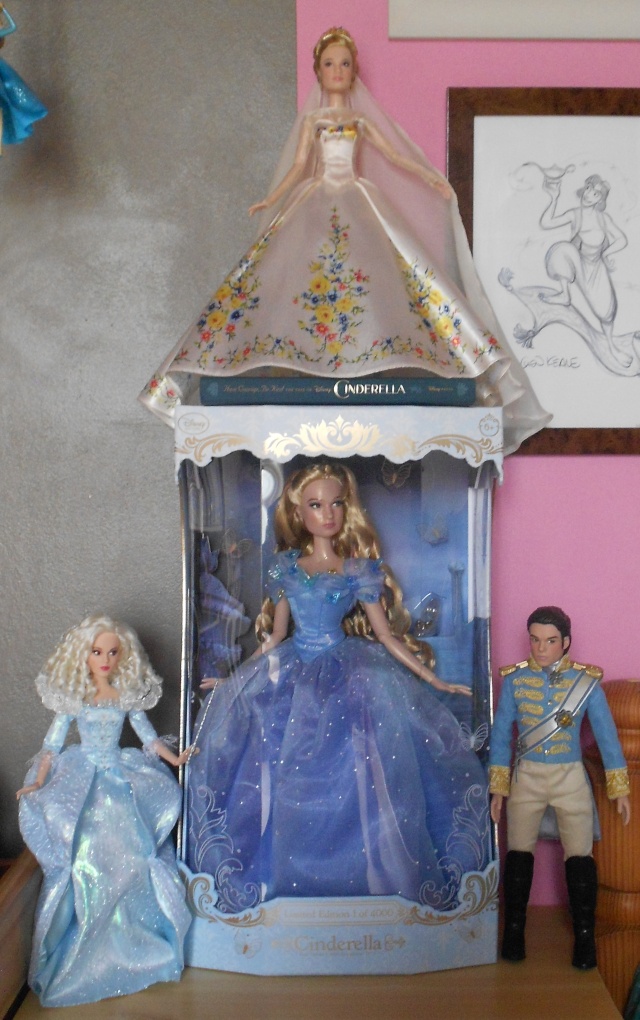 Disney Store Poupées Limited Edition 17'' (depuis 2009) - Page 38 Dscn7030