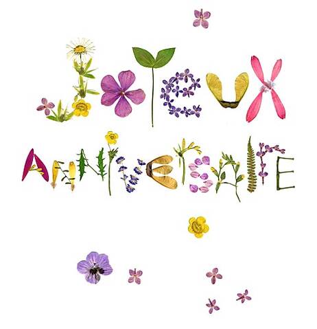 Joyeux Anniversaire Fabienne Joyeux Anniversaire Fabienne