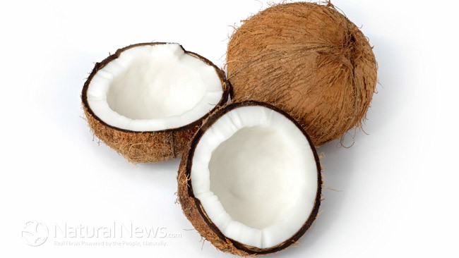 TOP 7 BEAUTY USES OF COCONUT OIL Timthu19