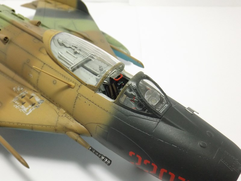 [Trumpeter] 1/32 - Mikoyan-Gourevitch MiG-19 S Farmer chinois (Shenyang F-6)  Dscf1125