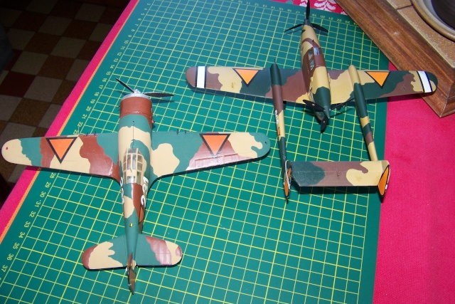 1/48 Fokker D XXIII R.S Model - Page 3 100_9434