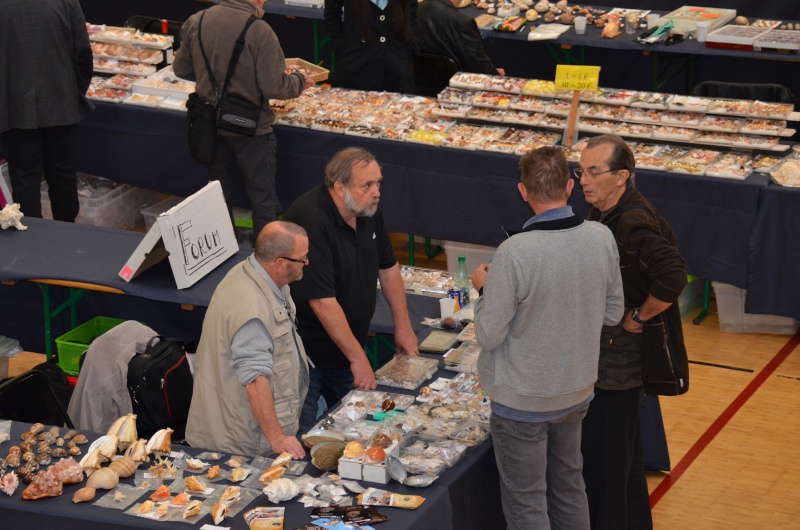 2015 Bourse de Rennes - 22 au 24 mai - Page 2 Dsc_9011