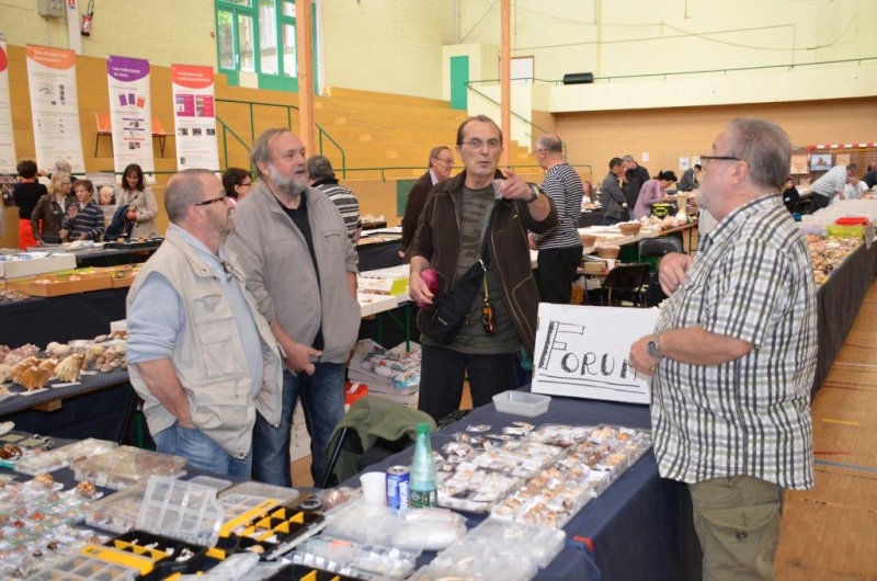 2015 Bourse de Rennes - 22 au 24 mai - Page 2 Dsc_9115