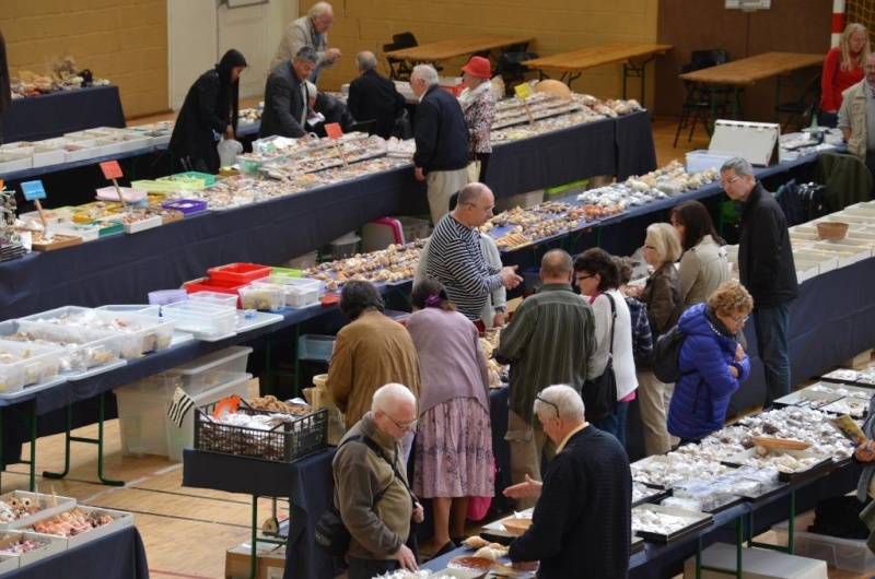 2015 Bourse de Rennes - 22 au 24 mai - Page 2 Dsc_9123