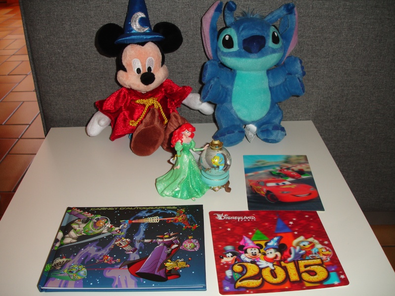 Petites vacances chez Mickey du 01/03/15 au 03/03/15 et une nuit, deux jours du 19 au 20 Octobre 2015 ( page 6 ) - Page 3 Dsc05713