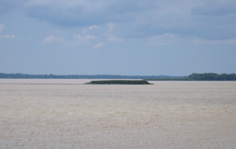 Les îles de l'estuaire de la Gironde - Gironde  - France Img_3512