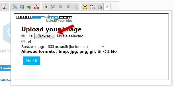 How to host an image with Servimg?  Scr110