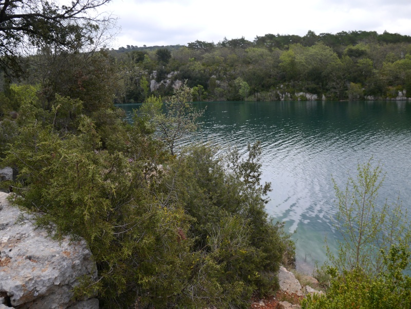 Gorges du Verdon / 04 P1020312