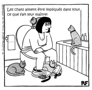 de L'humour ça continue - Page 11 52896810