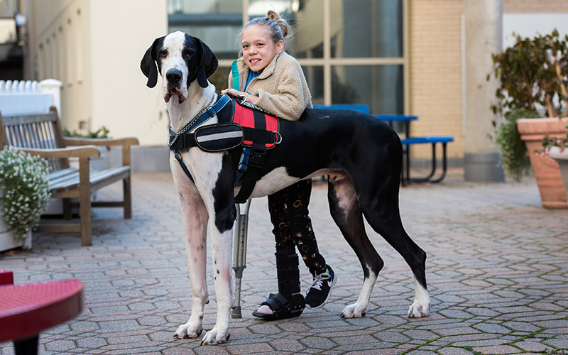 Six chiens ont refusé d’abandonner Luis, leur maître sans-abri Bella_10