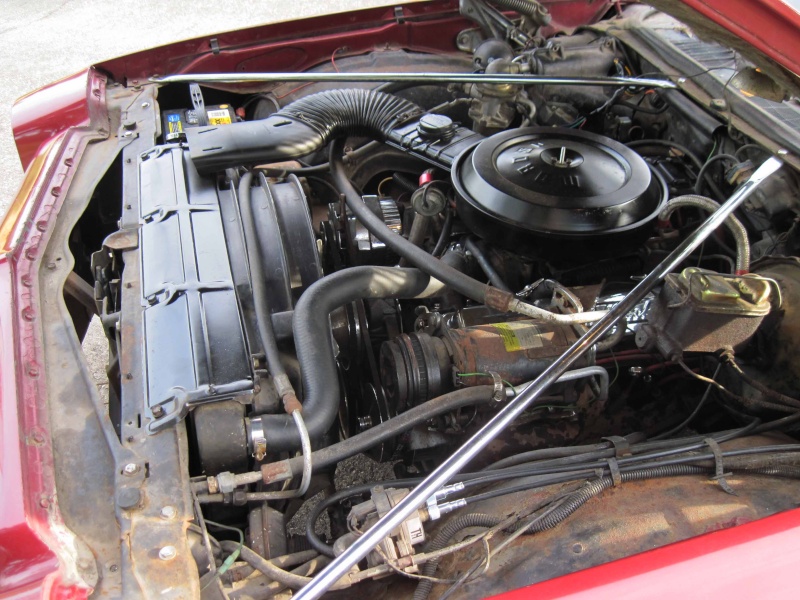 My Latest Project - 75 Laguna Engine11