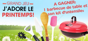 6.05 Tas Centrakor 1 barbecue et son kit accessoire de cuisine DLP:1/06/2015 News110