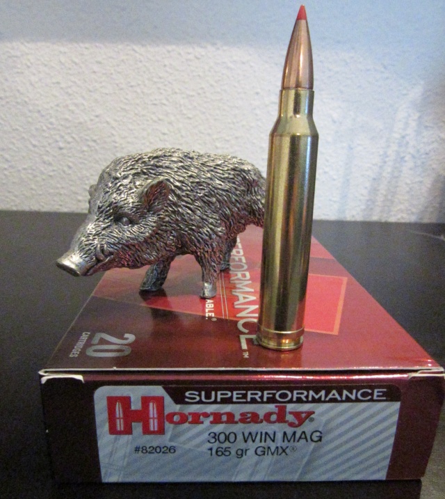 Hornady Superformance  300WM  165 Gr GMX Img_0017