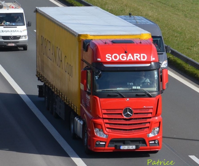  Sogard  (Radauti) Dsc_6310