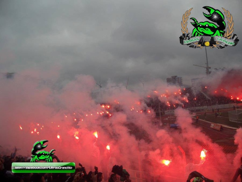 Ultras Granchio (Page Officielle) - Page 3 266