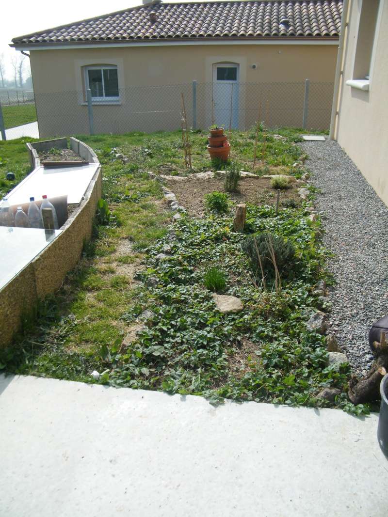 Mon jardin au commencement! Dscf6112