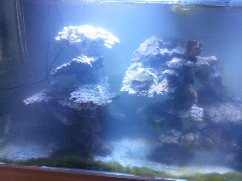 aquarium - Aquarium de 840 litres recifal, les différentes étapes d'installation Img_2022