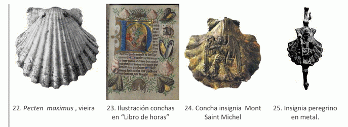 Recopilación medallas Santiago el Mayor. Notas iconográficas Concha11