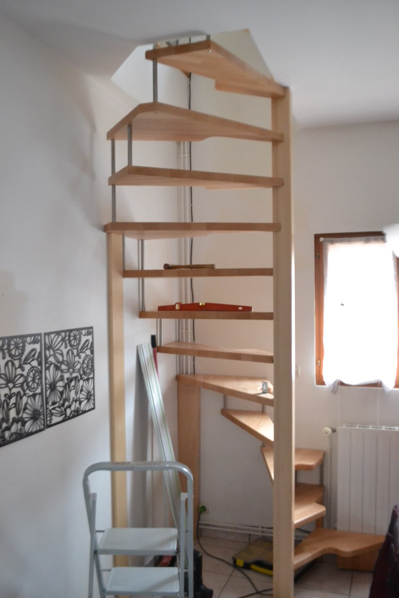 "La terrible transformation d'un escalier" - Page 2 Dsc_0032