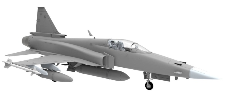 Nov: F-20A Tigershark por Freedom Models Freedo10