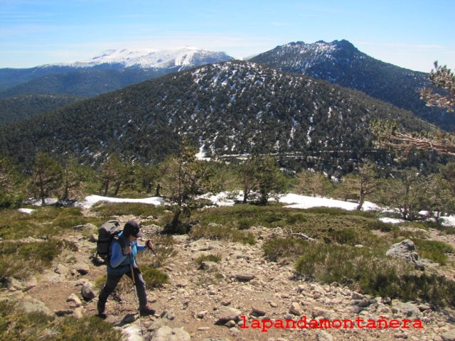 20150328 - GUADARRAMA - LA PINAREJA 00811