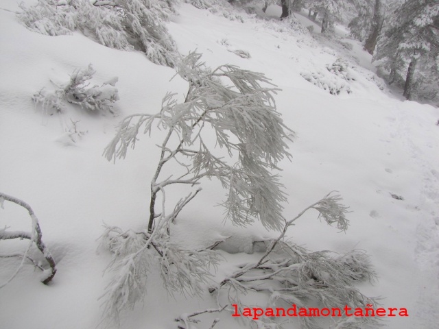 20150319 - GUADARRAMA - LOS TUBOS DE CABEZAS  01610