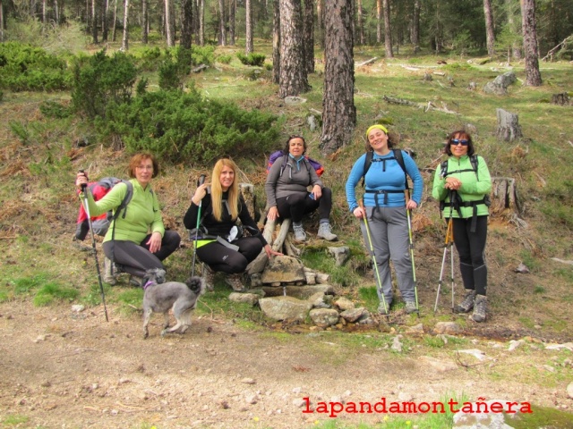 20150425 - GUADARRAMA - RUTA DE LAS NUEVE FUENTES 02811