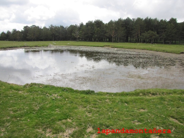 20150425 - GUADARRAMA - RUTA DE LAS NUEVE FUENTES 05111