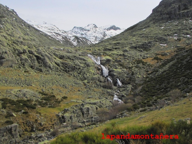 20150403 - GREDOS - LAGUNA DE GALÍN GÓMEZ  10111