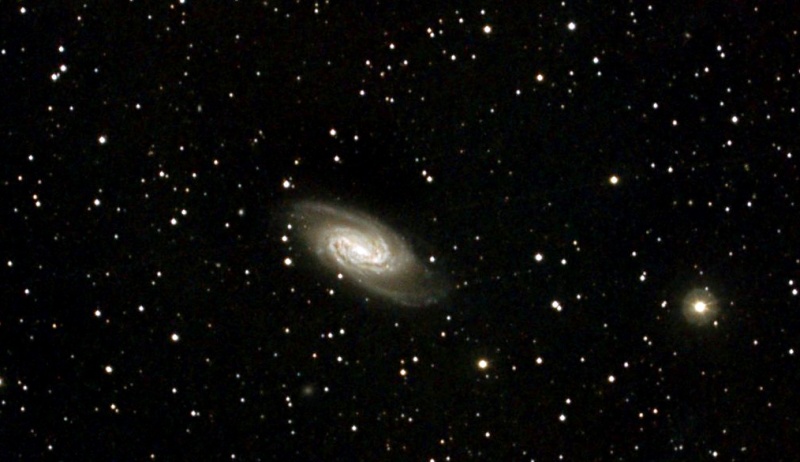 NGC2903, le 8 avril Ngc29011