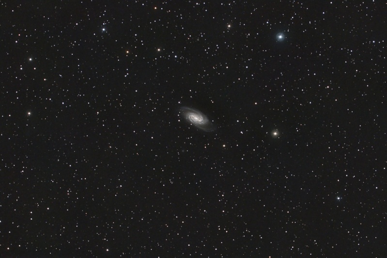 NGC2903, le 8 avril Ngc29012