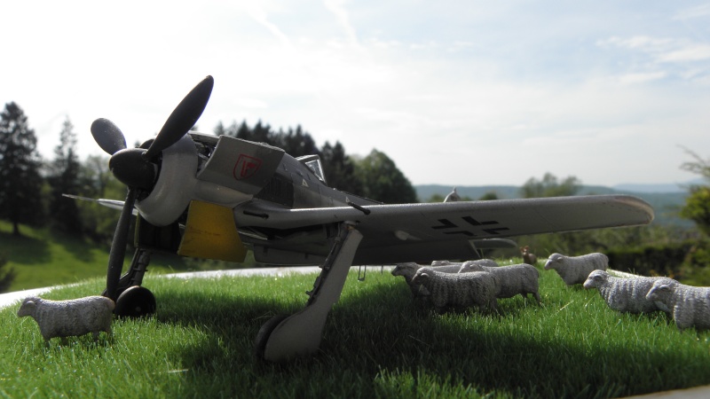 Le guerrier abandonné.... Fw_19016