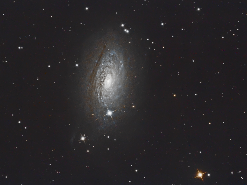 M63 - Galaxie du Tournesol M63b10