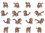 un singe Singe10