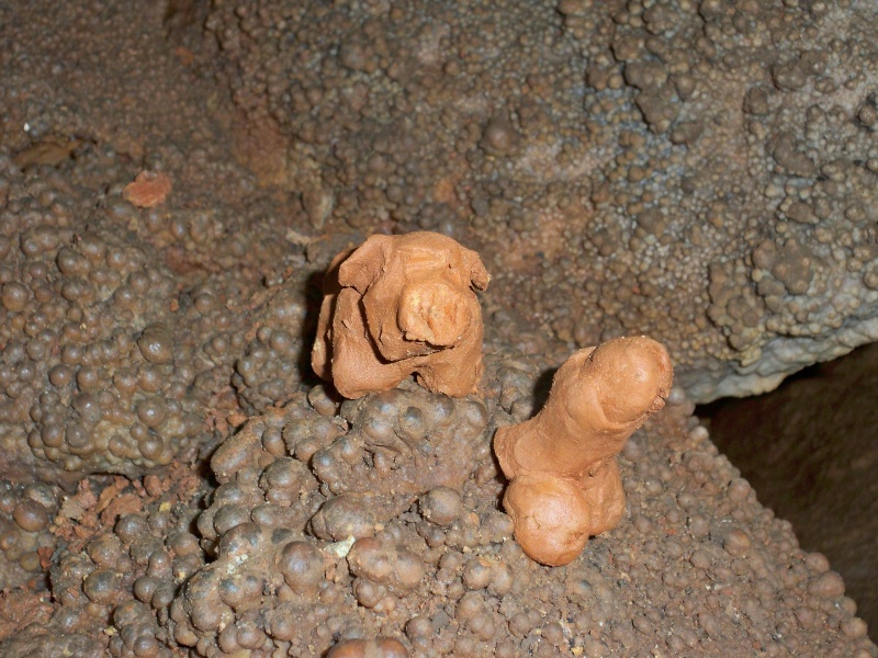 Espeleología: sábado 18 de abril 2015 - Cueva de la Bruja (Guadalajara) 049_ce10